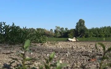 A halál torkából..